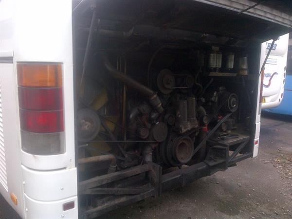 Fantastic selection of Setra coaches Fantastic selection of Setra coaches