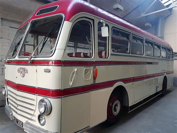 1951 Leyland Royal Tiger LOE300 1951 Leyland Royal Tiger LOE300