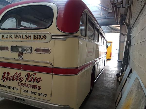 1951 Leyland Royal Tiger LOE300 1951 Leyland Royal Tiger LOE300