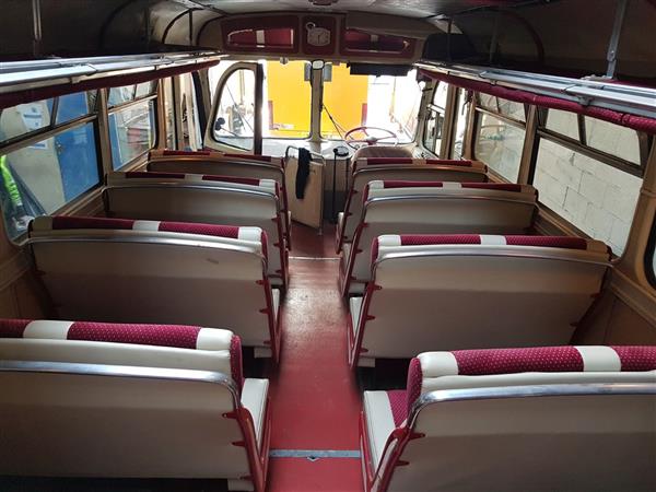 1951 Leyland Royal Tiger LOE300 1951 Leyland Royal Tiger LOE300