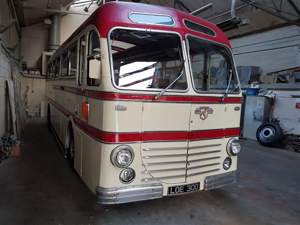 1951 Leyland Royal Tiger LOE300 1951 Leyland Royal Tiger LOE300