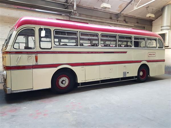1951 Leyland Royal Tiger LOE300 1951 Leyland Royal Tiger LOE300
