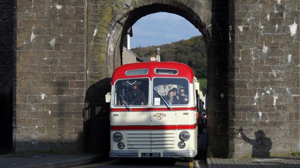 1951 Leyland Royal Tiger LOE300 1951 Leyland Royal Tiger LOE300
