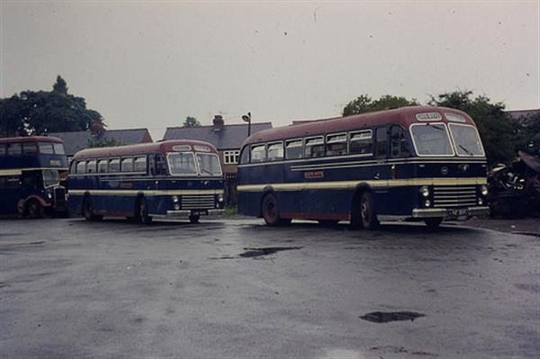 1951 Leyland Royal Tiger LOE300 1951 Leyland Royal Tiger LOE300