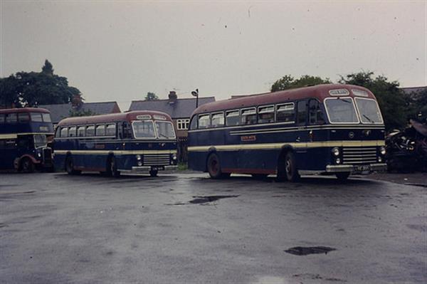 1951 Leyland Royal Tiger  LOE300