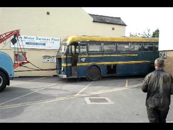 1951 Leyland Royal Tiger LOE300 1951 Leyland Royal Tiger LOE300