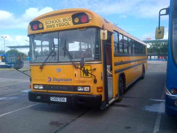 2001 Bluebird American School bus right hand drive